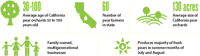 meet-a-pear-farmer