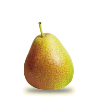 Seckel